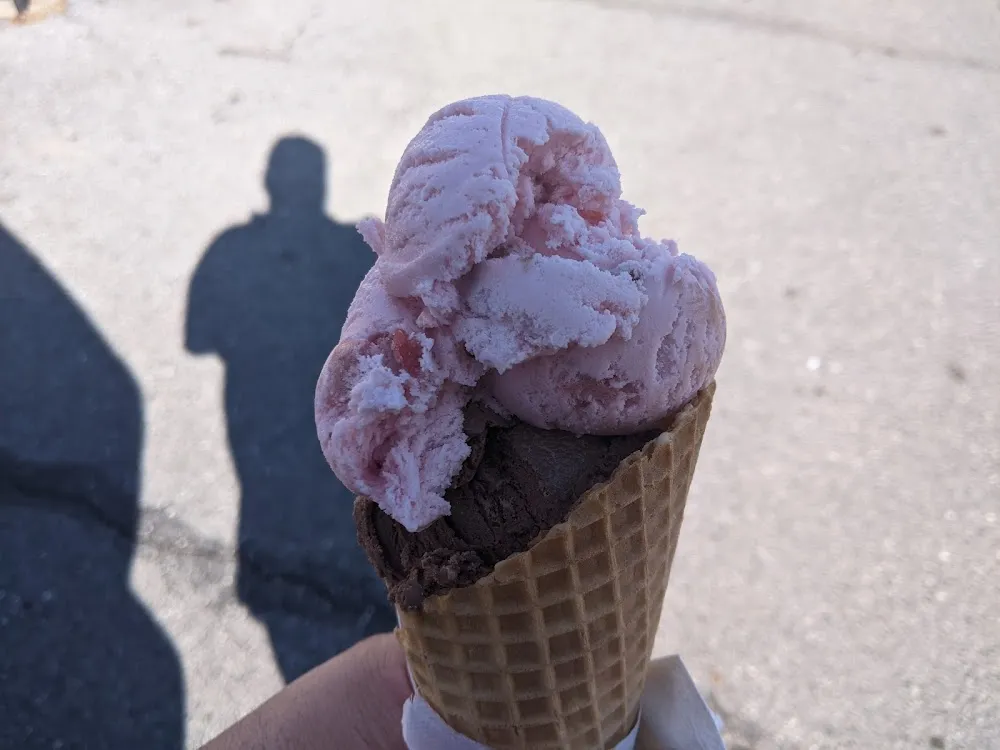 Chocolate Strawberry Ice Cream